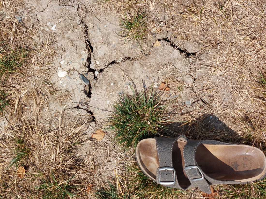 Foto: Martin Zehrer - Rissse im Boden an einem Weiherdamm. Die Trockenheit macht sich auch so bemerkbar...<br />
14. August 2022 