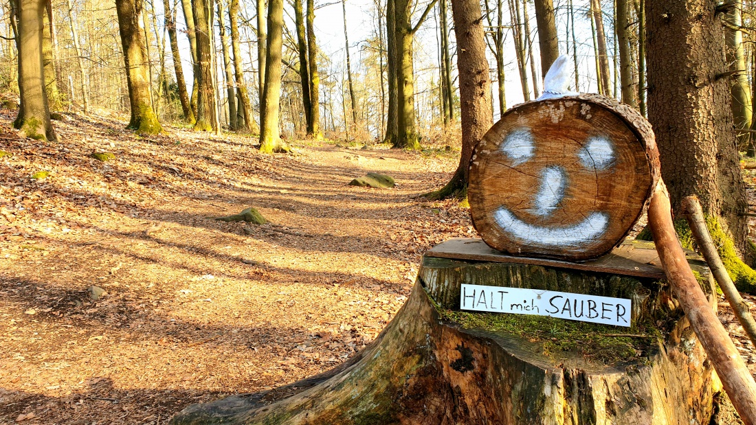 Foto: Martin Zehrer - Herrliche Wanderwege hoch zum Rauhen Kulm... 