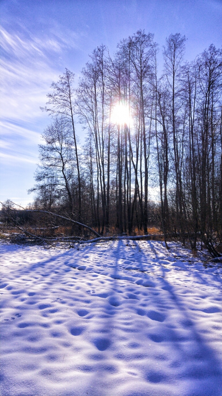 Foto: Martin Zehrer - Schatten-Spiele...<br />
<br />
Am kulmainer Stausee... Die vergangene Nacht hatte es ca. minus 8 Grad, das Wetter heute ist gigantisch. <br />
Wer hier her kommt, erlebt ein kleines St 