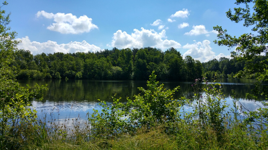 Foto: Martin Zehrer - Kurz das Rad abstellen und staunen. Unbeschreibliche Natur auf dem Weg nach Immenreuth ins Freibad.<br />
<br />
Feldweg zwischen Berndorf und Immenreuth 