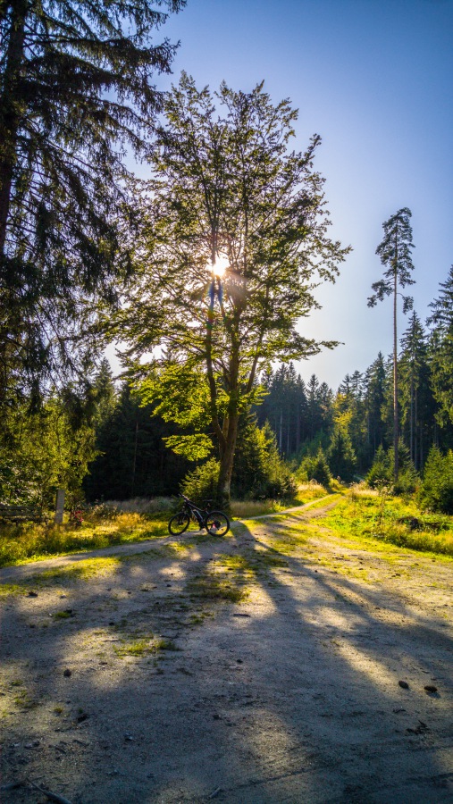 Foto: Martin Zehrer - Radtour quer durch den Wald  irgendwo zwischen Brand und Ölbrunn... Einmalige Momente ;-) 