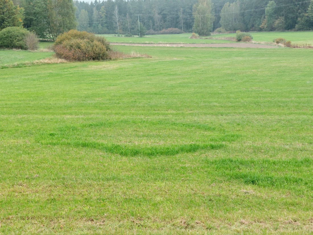 Foto: Martin Zehrer - Mystische Gras-Kreise... Zeichen vergangener Zivilisationen? 