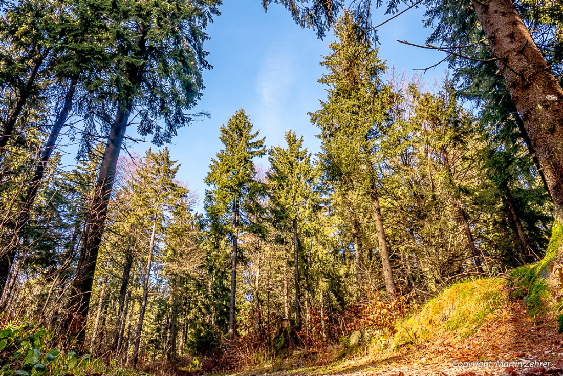 Foto: Martin Zehrer - Der Kösseine-Himmel wird immer blauer... die Sonne immer wärmer... was für ein Tag am 20. Dezember 2015  