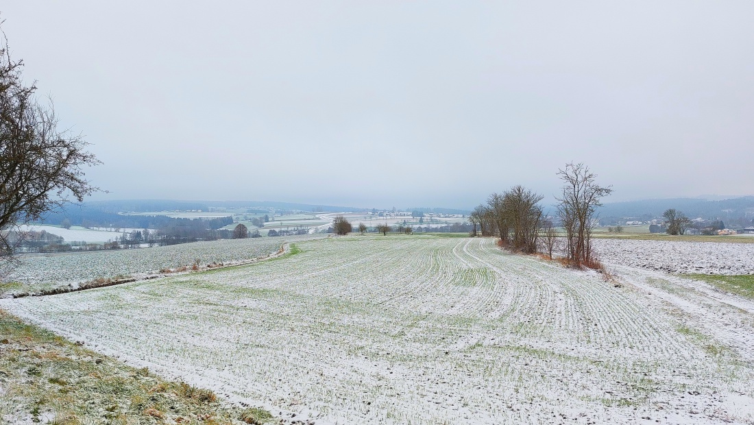Foto: Martin Zehrer - 20. November 2025 - der Schnee ist da!  