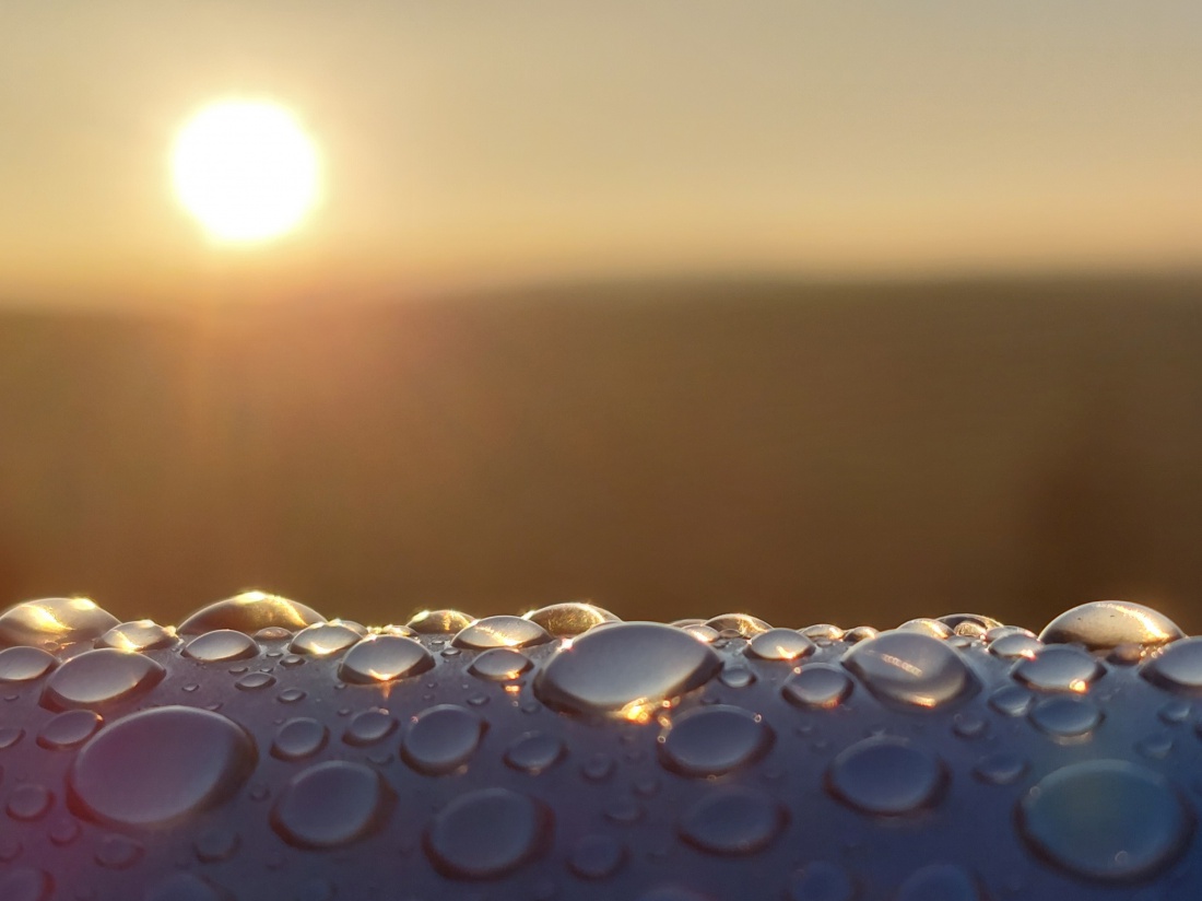 Foto: Martin Zehrer - Wunder-Sonne, Sie geht aufwärts!!! 