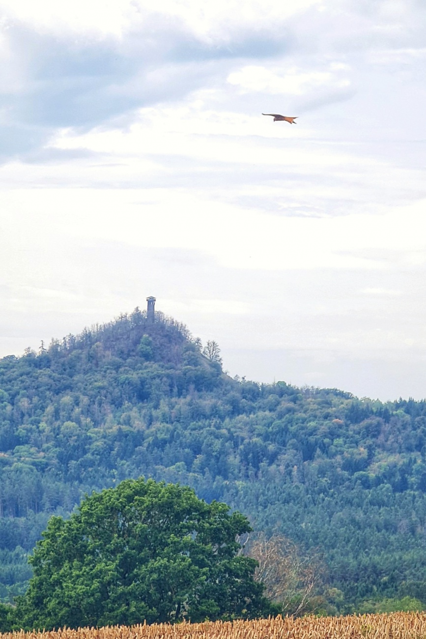 Der Rauhe Kulm...