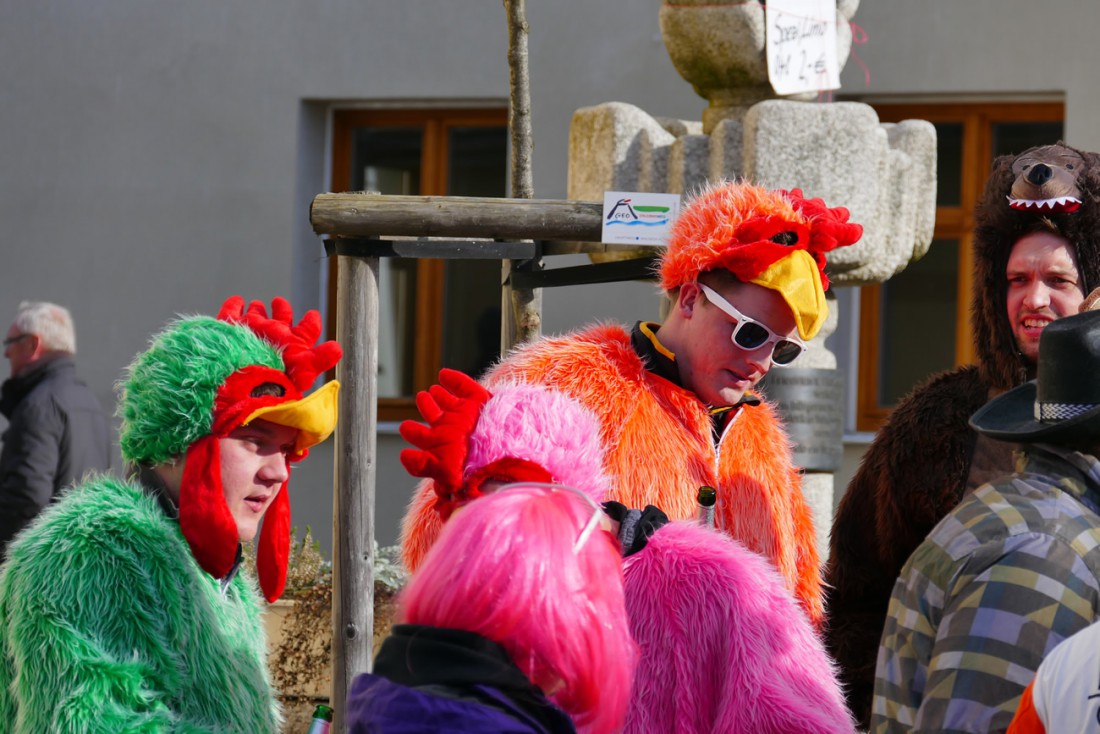 Foto: Martin Zehrer - Die ersten Hennen und Gockel sind da ;-)<br />
<br />
44. Faschingszug durch Waldeck am 7. Februar 2016!<br />
<br />
Tanzen, lachen und Gaudi machen ;-)<br />
<br />
Viele Gaudiwagen und unzählige Be 