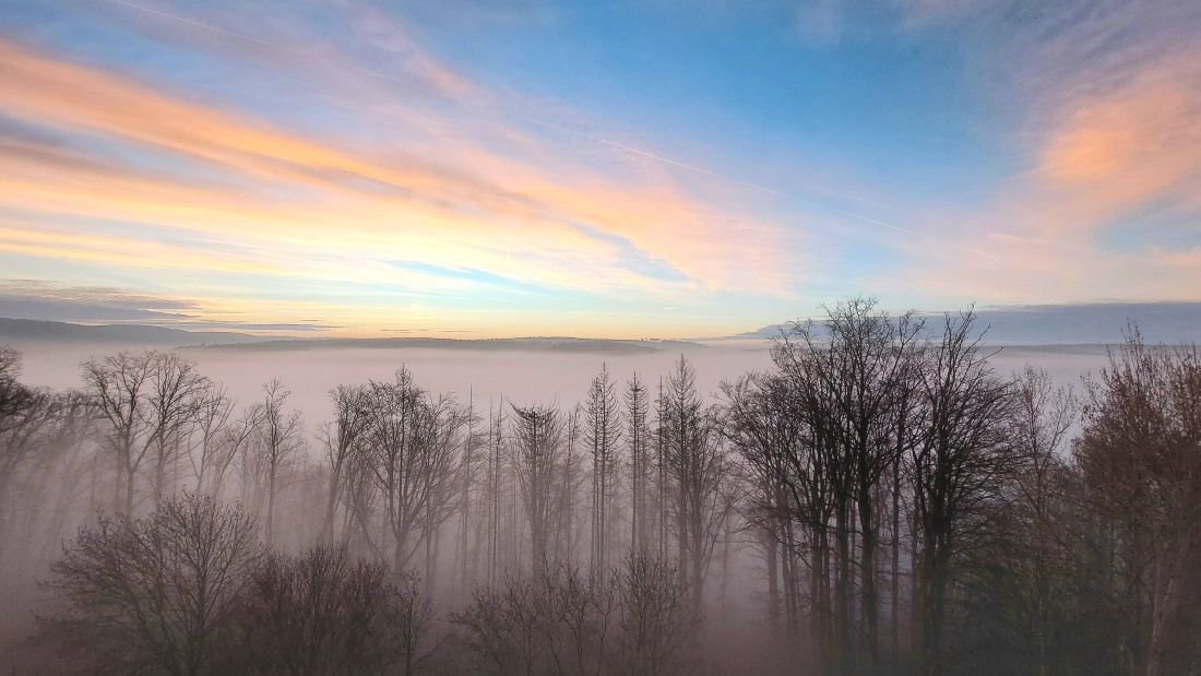 Foto: Martin Zehrer - Der Morgen bricht an... 