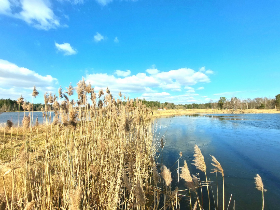 Foto: Martin Zehrer - Auf zur Himmelsleiter bei Tirschenreuth. Herrliches Wetter, beste Aussicht, der Frühling liegt in der frischen Luft. 