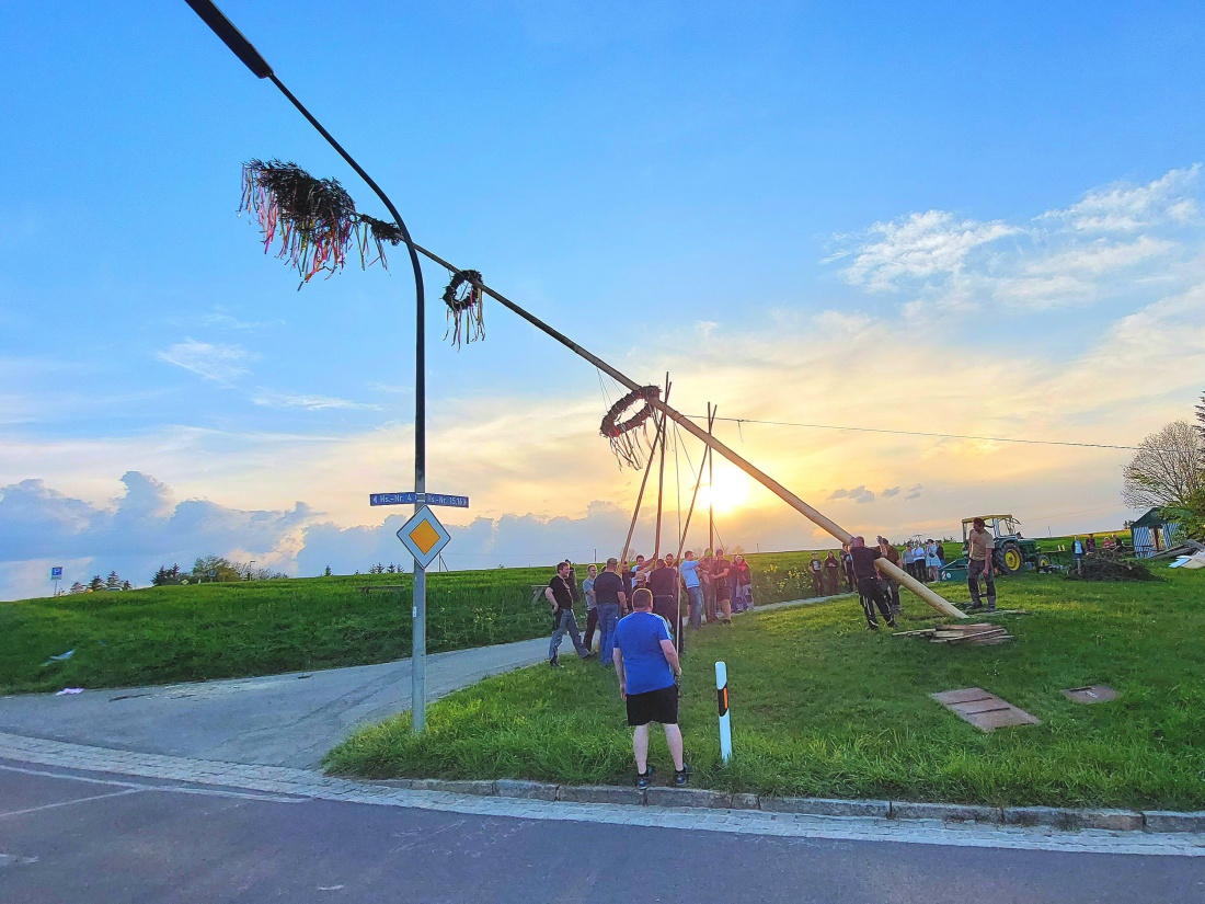 Foto: Martin Zehrer - Godas pflegt das Brauchtum:<br />
Maibaum aufstellen im Sonnenuntergang...<br />
Hier ist Koordination gefragt...<br />
Gesichert durch eine Seilwinde am Schlepper und gestützt durch so 