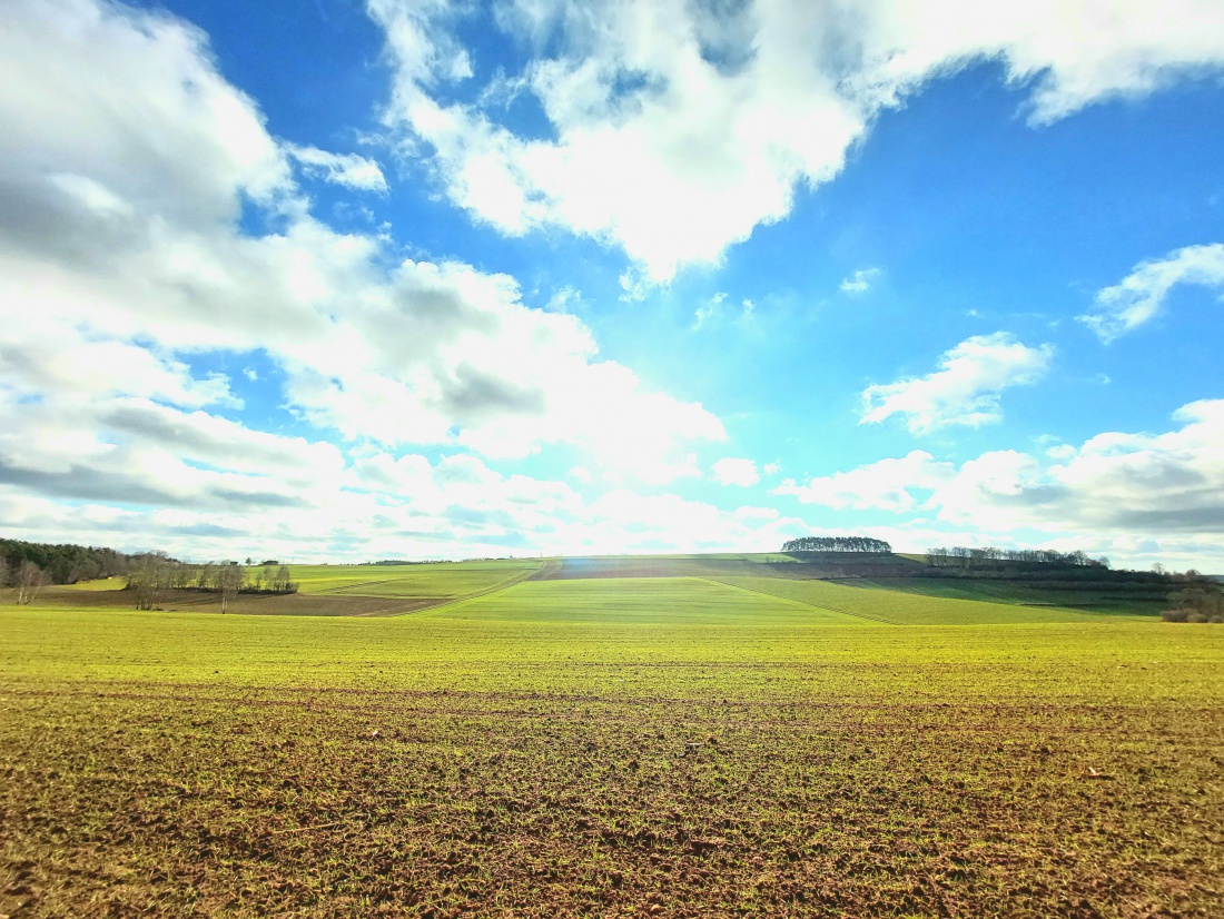 Foto: Martin Zehrer - Der Sonne entgegen, bei ca. 13 Grad Frühlingswetter :-)<br />
<br />
 