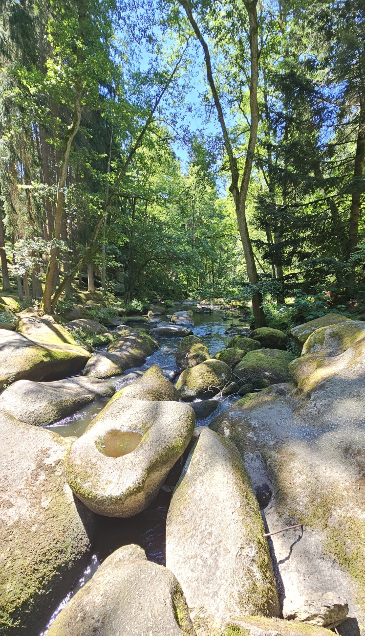 Herrliche Natur, traumhafte Landschaften... auf dem Weg zur Blockhütte im Waldnaabtal.