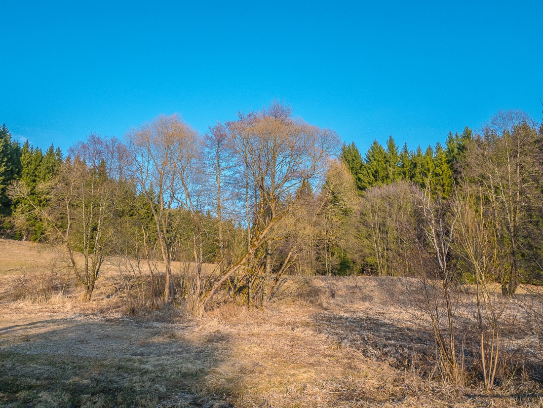 Foto: Martin Zehrer - Natur pur... der Radweg zwischen Erbendorf und Trevesen. <br />
<br />
Radtour mit dem E-Bike von Kemnath über Neusteinreuth nach Godas hoch, Trevesen, Kautzenhof und über den Radw 