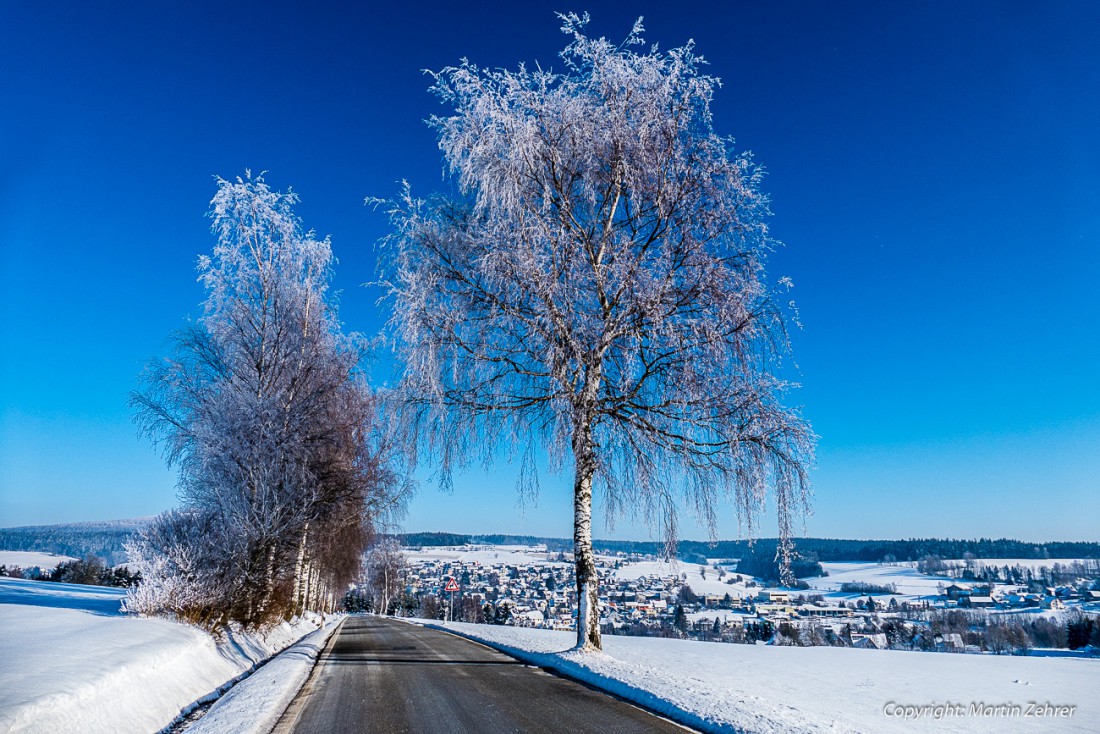 Foto: Martin Zehrer - Wunderschöne Winterbirken ;-)<br />
<br />
Im Hintergrund die Ortschaft Ebnath 