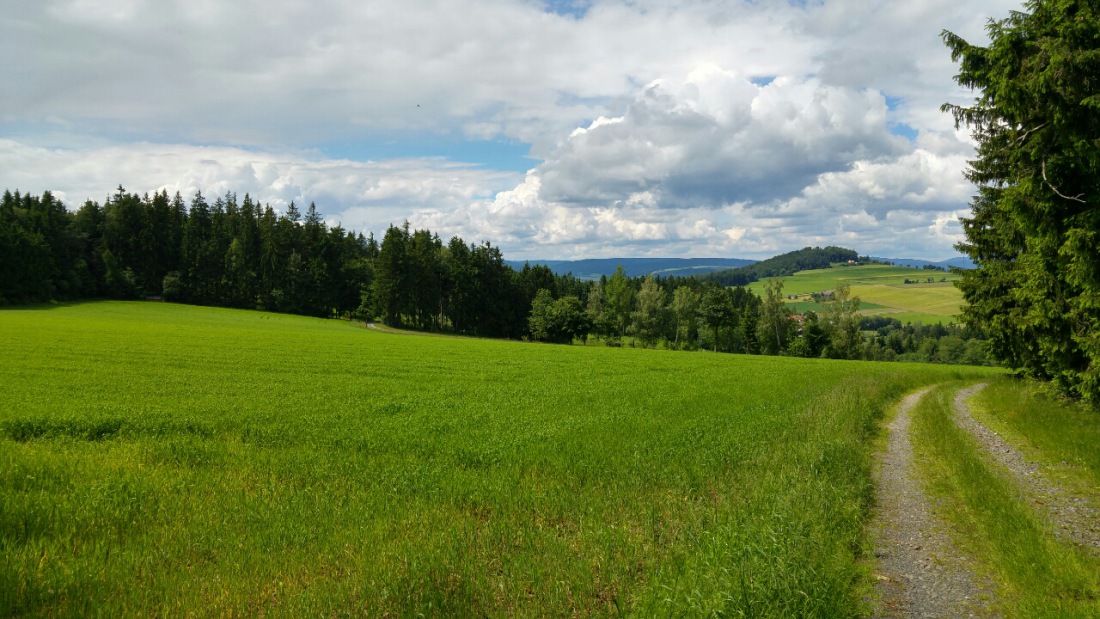 Foto: Martin Zehrer - Das ist die Realität... und mitten drinn liegt Godas ;-) 