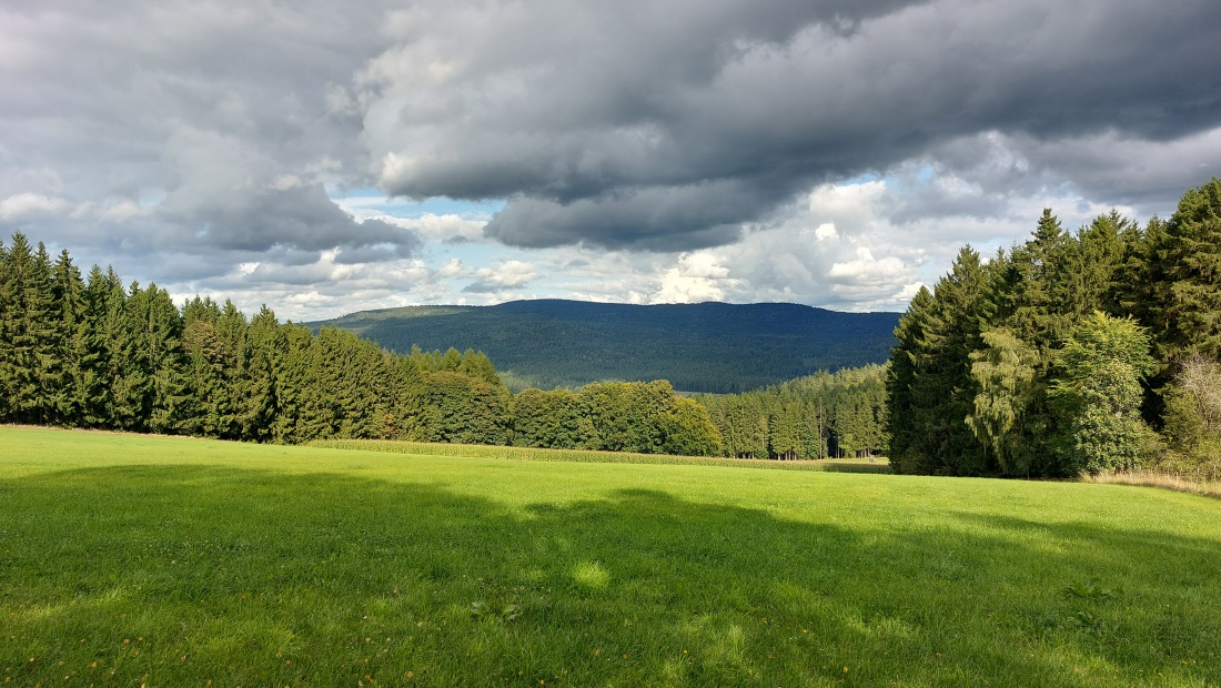 Foto: Martin Zehrer - Mit einem weiten Blick über saftige Wiesen und dichte Wälder eröffnet sich die faszinierende Landschaft des Steinwalds. Sanft ansteigende Höhenzüge, dunkelgrüne Nadelwäld 