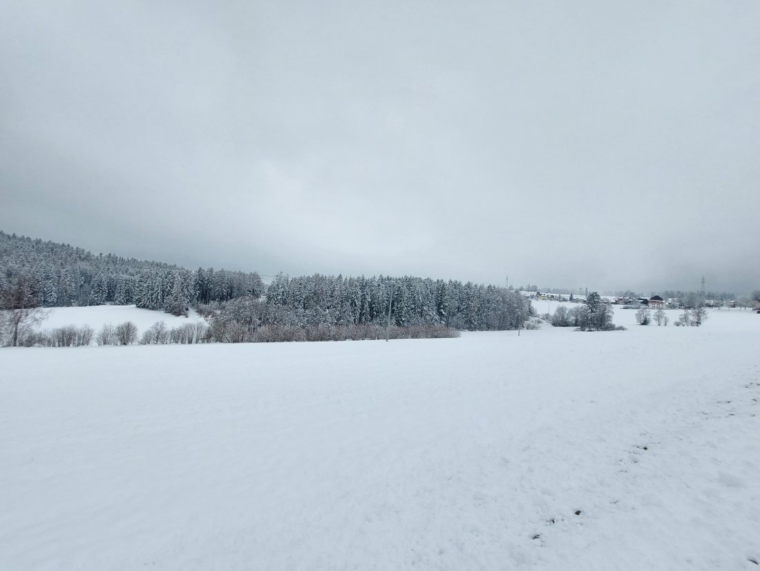 Foto: Martin Zehrer - Frühlingswanderung von Frankenreuth aus hoch nach Ölbrunn zum Scherm bzw. Zur Schönen Aussicht.<br />
Das Wetter war durchwachsen.<br />
Ca. 7 cm Schnee.<br />
Beim Rauflaufen, Bewölkt, 
