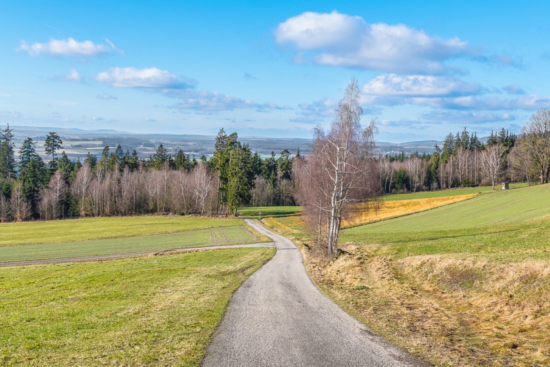 Foto: Martin Zehrer - Nach vielen trüben Tagen vertrieb die Sonne einfach die Wolken und brachte einen wunderschönen Frühlingstag...<br />
<br />
Der Weg von Godas nach Neusteinreuth am 30. Januar 2018 