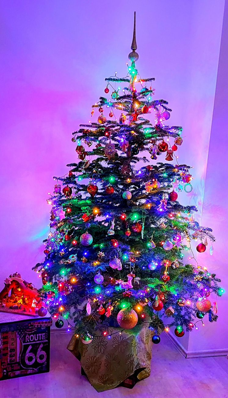 Foto: Martin Zehrer - Der Christbaum ist geschm&uuml;ckt... 