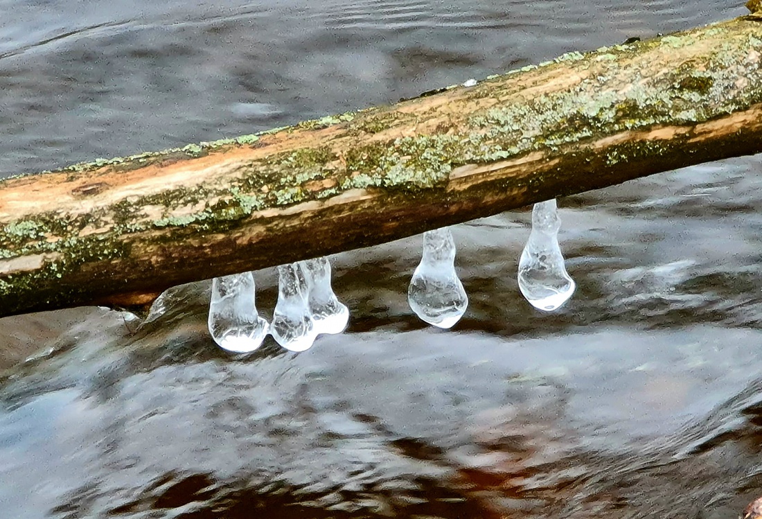 Foto: Jennifer Müller - Kleine Kunstwerke über fließendem Wasser. 