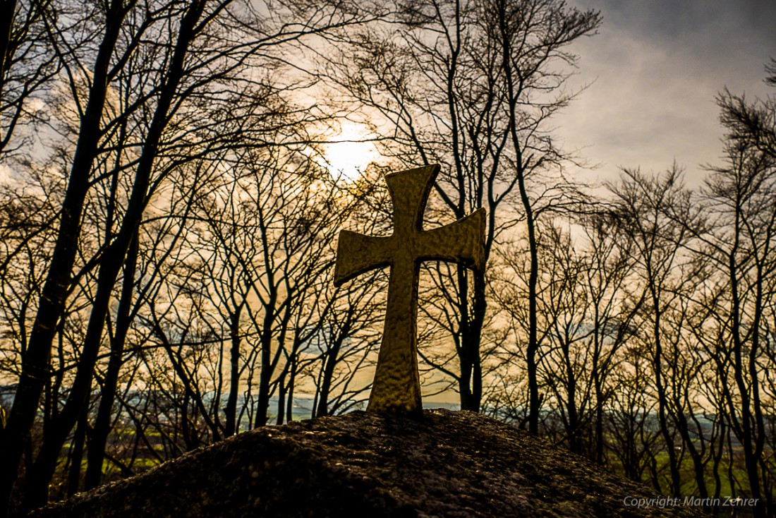 Foto: Martin Zehrer - Frühling auf dem Armesberg. Erste Hummeln fliegen durch die Gegend. Schmetterlinge lassen sich entdecken. Grüne kleine Pflanzen drücken mit aller Kraft durch das Herbstla 