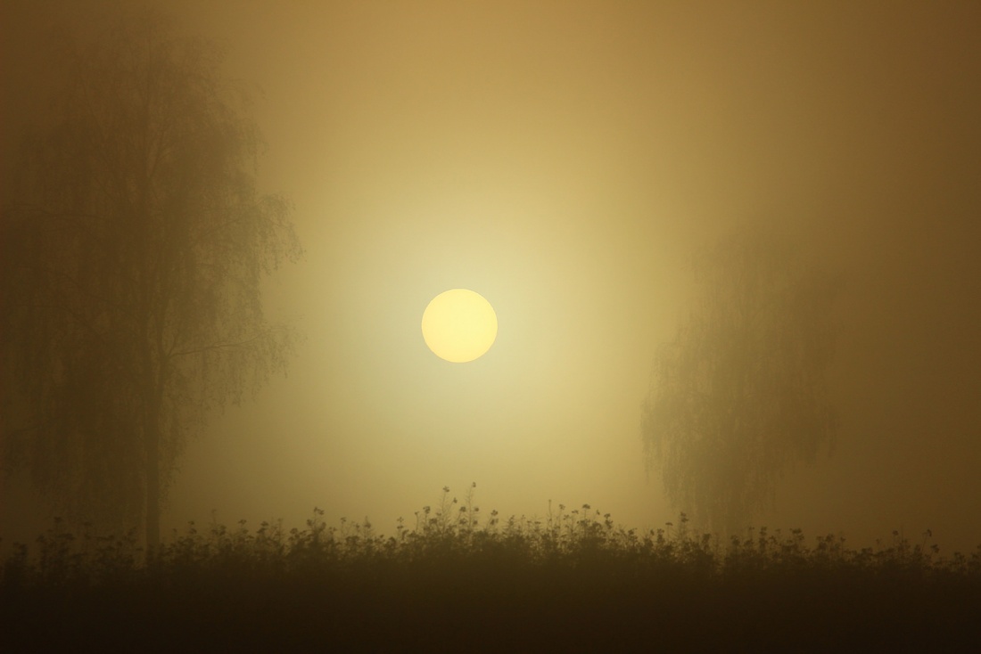 Foto: Joshua Richter - Nebel im Bayrischen Wald... Unglaublich... Dieses Foto wurde von Joshua R. gemacht. Zwischen Regelsmais und Höhof im Bayrischen Wald.<br />
<br />
Es war 16 Uhr als der Fotograf mi 