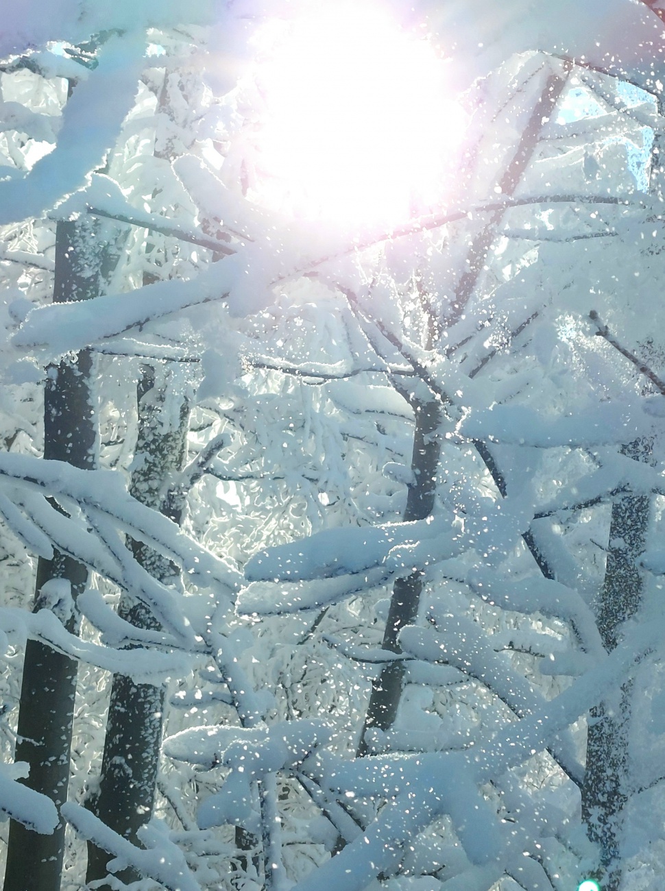 Foto: Martin Zehrer - Wunderschöne Winterzeit am 13. Dezember 2022, am Waldstein.<br />
<br />
Es war ein extrem sonniger, klarer Tag am Waldstein im Fichtelgebirge.<br />
Die Temperatur ging von Früh -16 Gr 