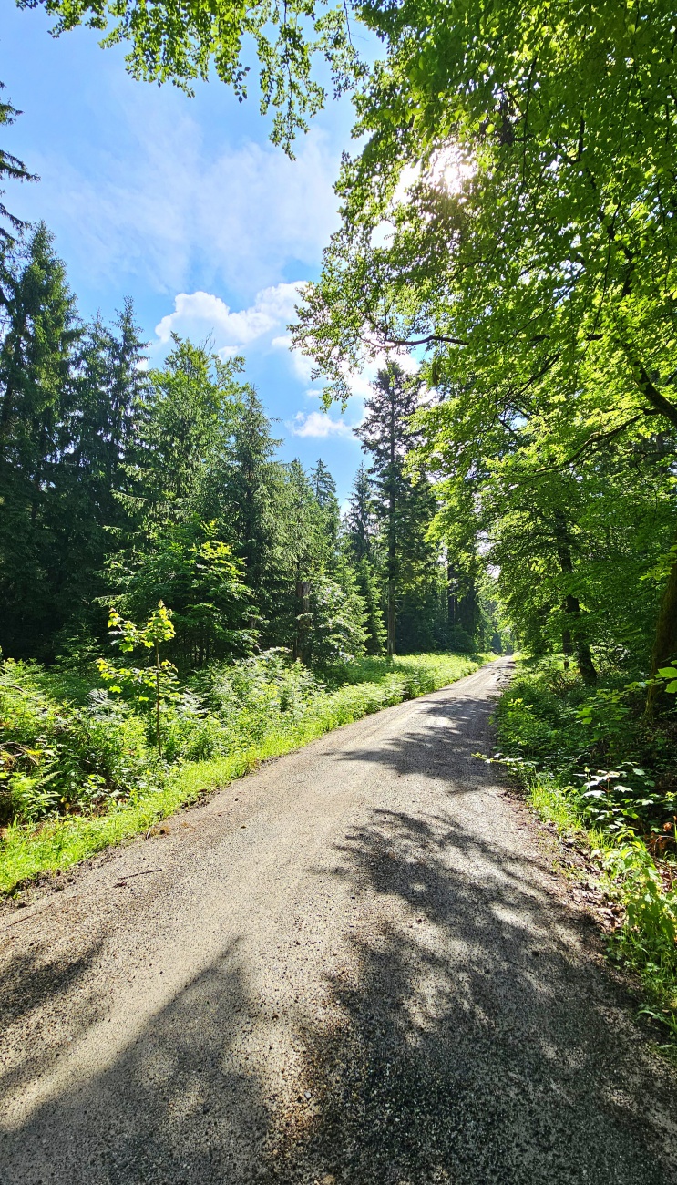 Himmlisch im Steinwald unzerwegs...