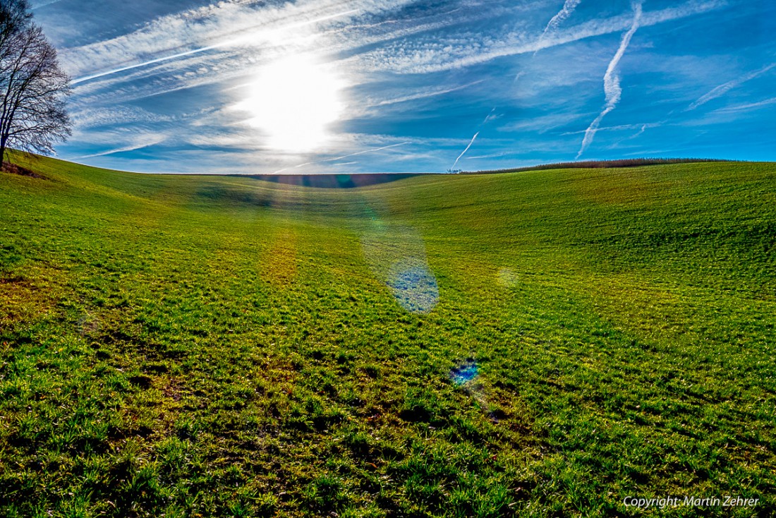 Foto: Martin Zehrer - Welch ein Anblick... und das am 26. Dezember 2015... Sonne, blauer Himmel, duftende Luft, genial, um in eine 4 Kilometer entfernte Pizzaria zu wandern :-D 