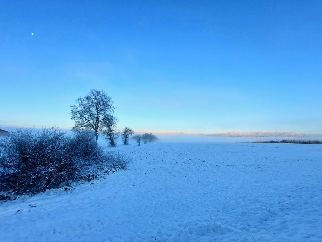 Foto: Martin Zehrer - Am 13. Dezember 2022 um ca. 8:30 Uhr bei Weißenstadt...<br />
<br />
Die Temperatur lag bei ca. -15 Grad Kälte. 