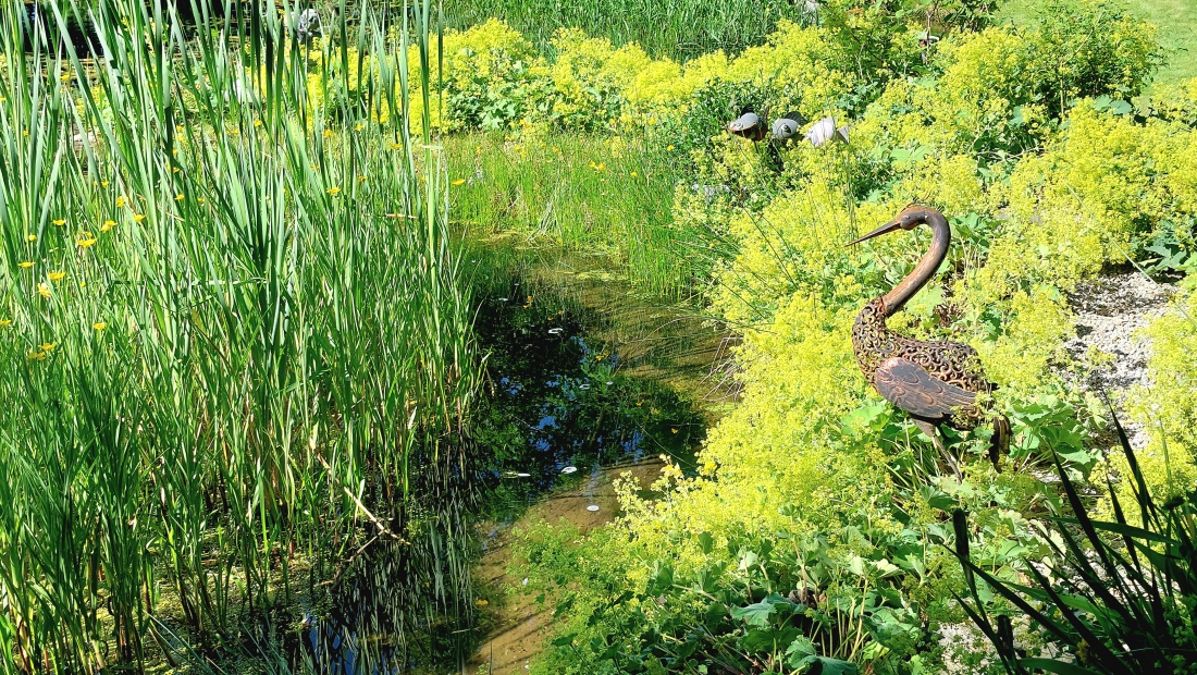 Foto: Martin Zehrer - Wacht am Gartenteich...<br />
<br />
Tag der offenen Gartentür in Neusorg...<br />
<br />
Auf Entdeckungsreise im wunderschönen Garten-Paradies der Familie Gerhardinger-Dauber... 