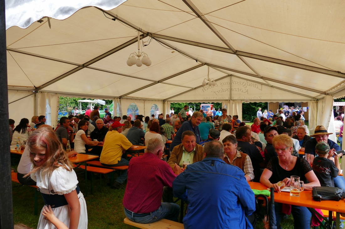 Foto: Martin Zehrer - Traktortreffen 2016 in Oberwappenöst<br />
Trotz Regen am Vormittag kamen an diesem Sonntag ca. 120 Oldtimer-Bulldogs und unzählige Besucher. Zum Mittag hin klarte das Wetter  