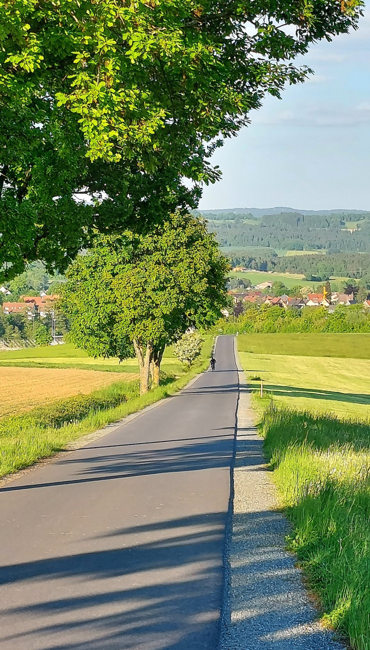 Foto: Martin Zehrer - Diese idyllische Verbindungsstraße zwischen Kemnath und Kötzersdorf ist ein wahres Paradies für Naturfreunde und Radfahrer. Die Strecke führt über das malerische Läufer-K 