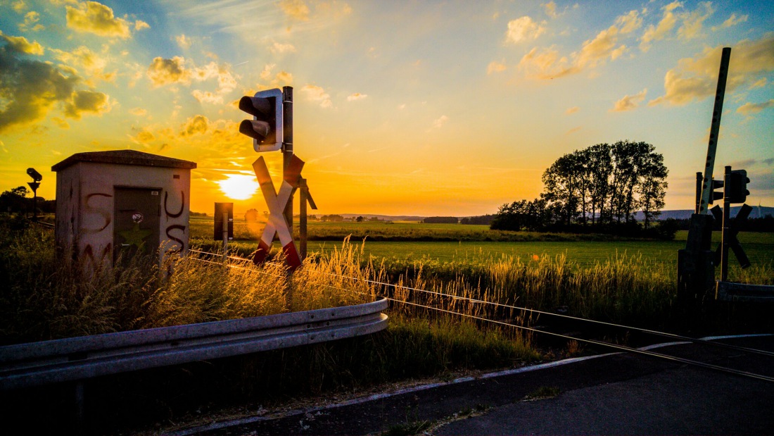 Foto: Martin Zehrer - Sonnen-Gold... 