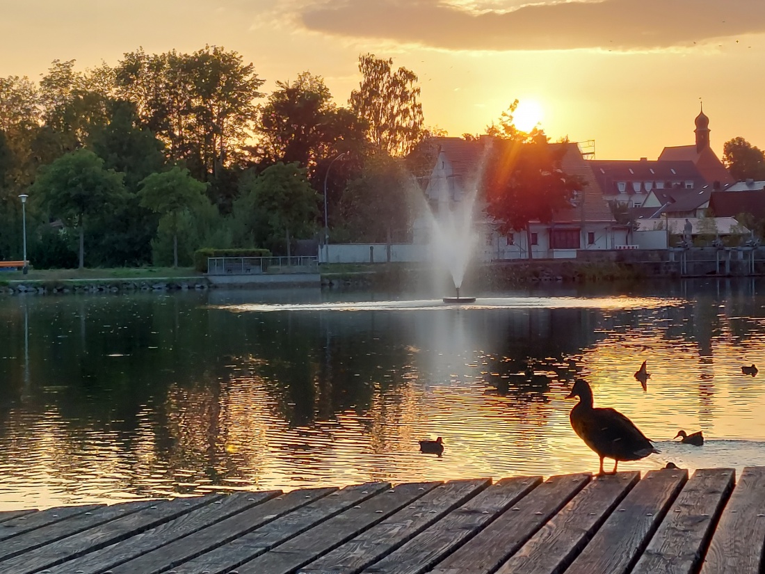 Foto: Martin Zehrer - Wunderschöne Feierabend-Runde 