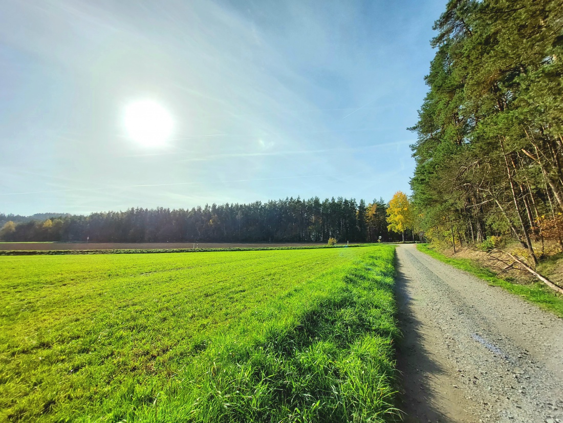 Foto: Martin Zehrer - Das Wetter am 31. Oktober 2022<br />
<br />
- 21 Grad Wärme<br />
- ganz leichte Schleierwolken<br />
- blauer Himmel<br />
- warmer Sonnenschein 