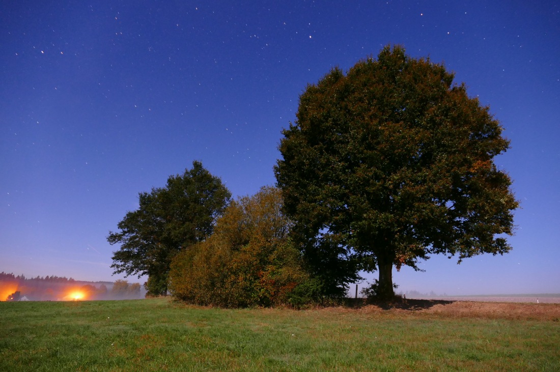 Foto: Martin Zehrer - Mondnacht  