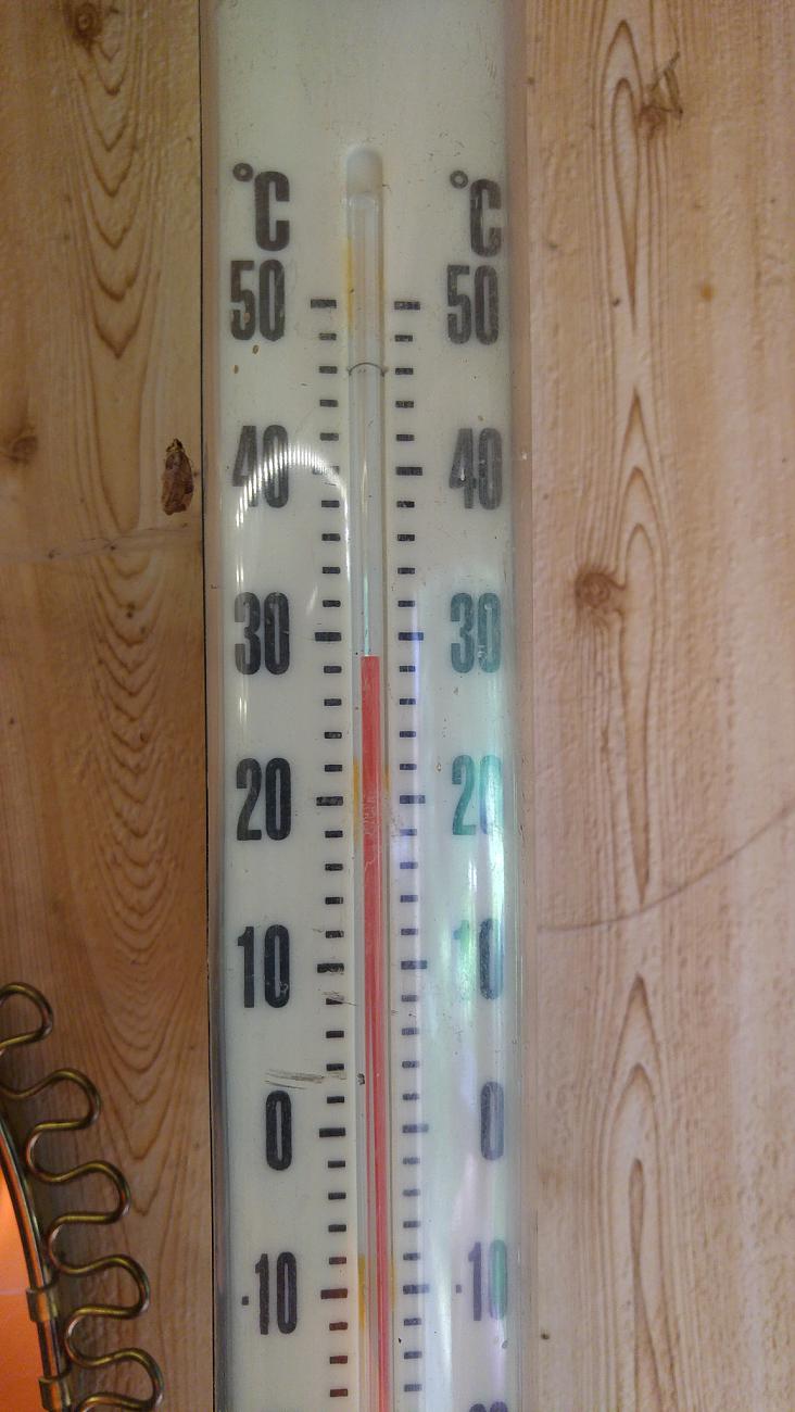 Foto: Martin Zehrer - Knapp 30Grad Hitze... und das schon am Vormittag im Schatten am kühleren Waldrand.<br />
<br />
Wetter am Mittwoch, den 26. Juli 2019<br />
<br />
Laut Wetterbericht soll dieser Tag auch, mi 