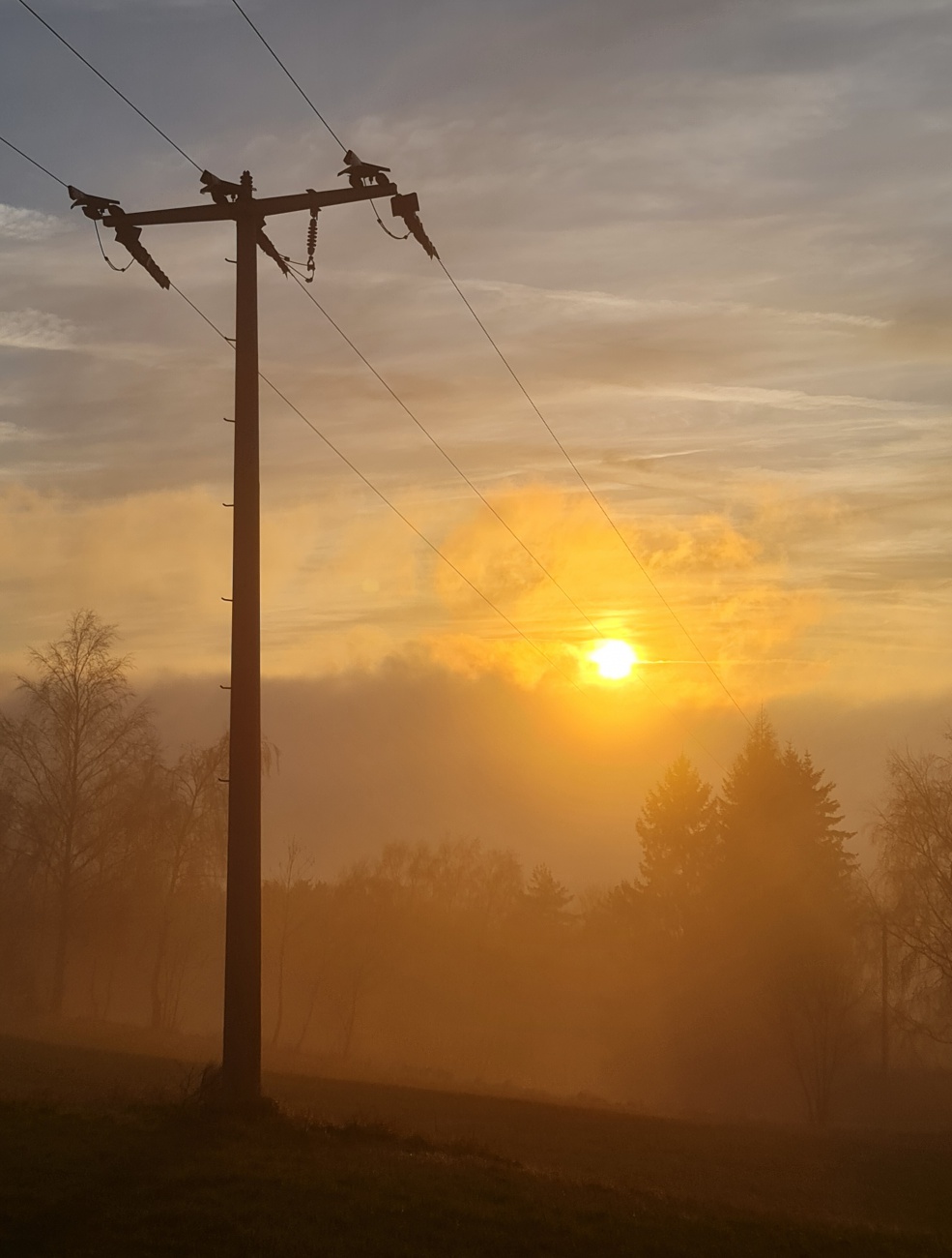 Foto: Jennifer M&uuml;ller - Heute hatten wir richtig Gl&uuml;ck! Die Sonne hat sich gezeigt... f&uuml;r einen kurzen Augenblick. Die Natur hat uns wunderbare Momente geschenkt.  