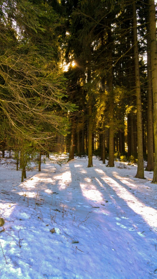 Foto: Martin Zehrer - Winter über Godas... 