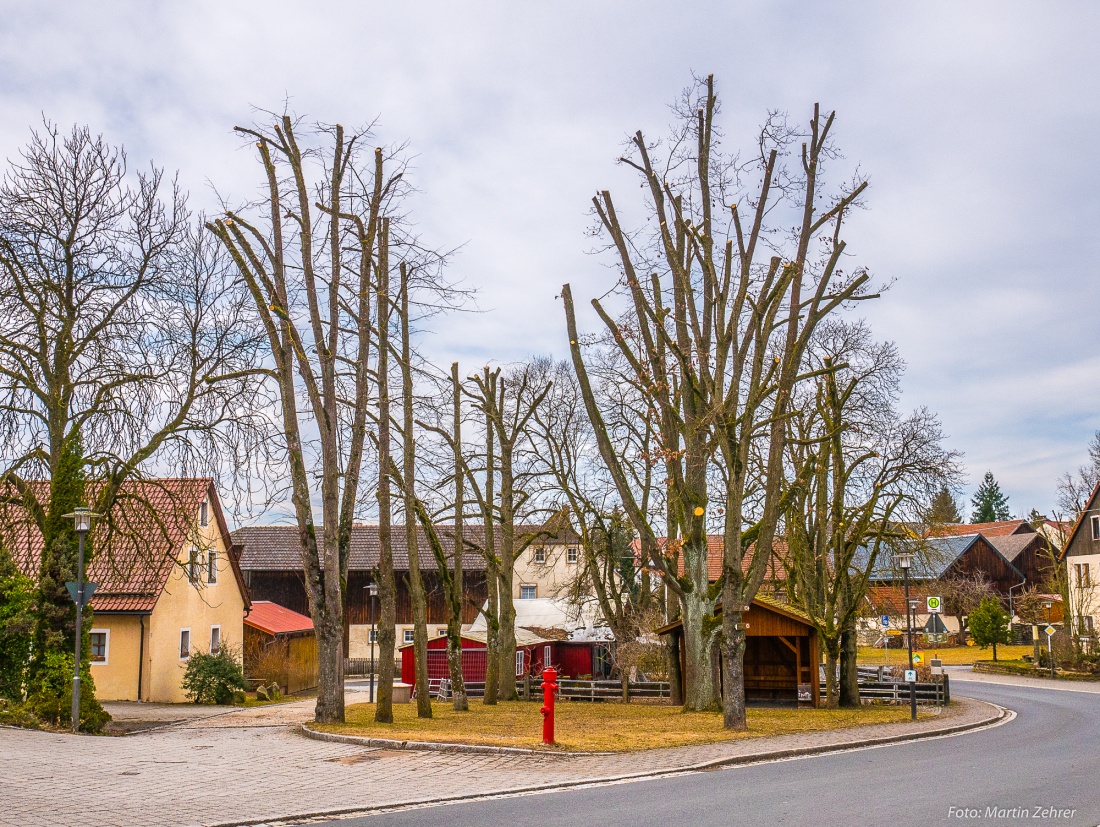 Foto: Martin Zehrer - Ortsmitte von Kastl...<br />
<br />
1. Frühlingsradtour am 11. März 2018<br />
<br />
Von Kemnath, Neusteinreuth, Schönreuth, Köglitz, Atzmannsberg, Neuenreuth, Altköslarn, Kastl, wieder nac 