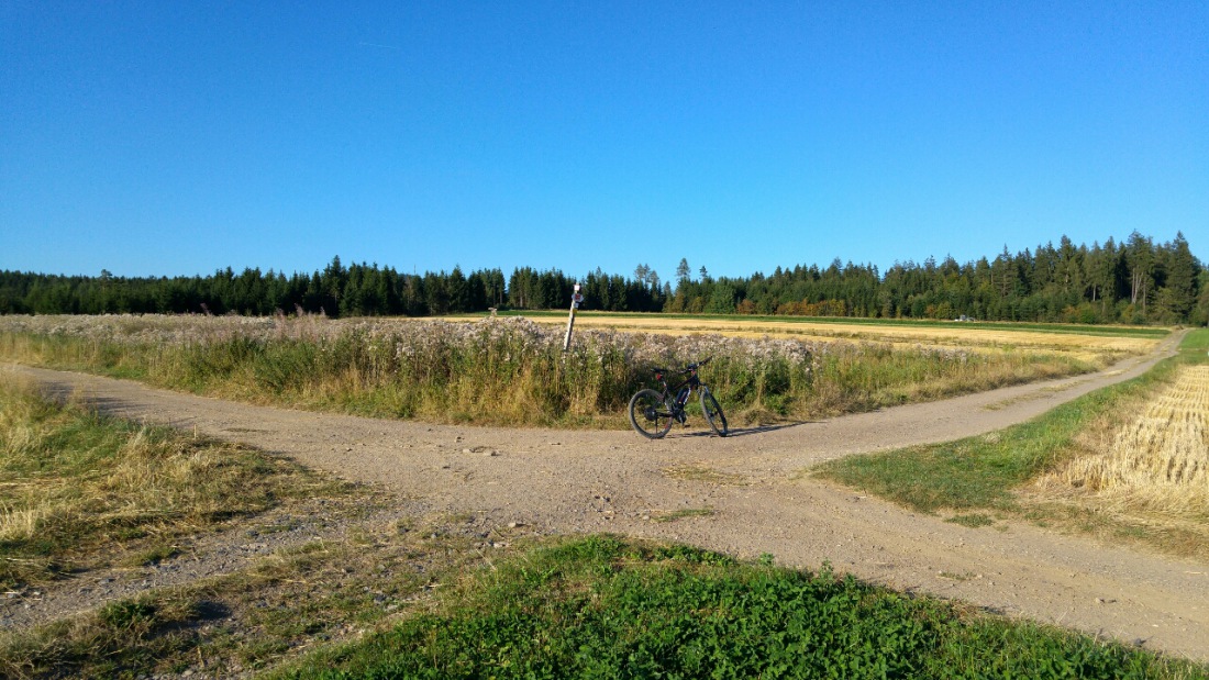 Foto: Martin Zehrer - Kreuzung am Fränkischen Gebirgsweg oberhalb von Ebnath. Am Feldrand steht der Wegweiser...<br />
Wenn Du hier rechts weiter fährst, kommst Du zur Kösseine hoch! Zum Fahren für 