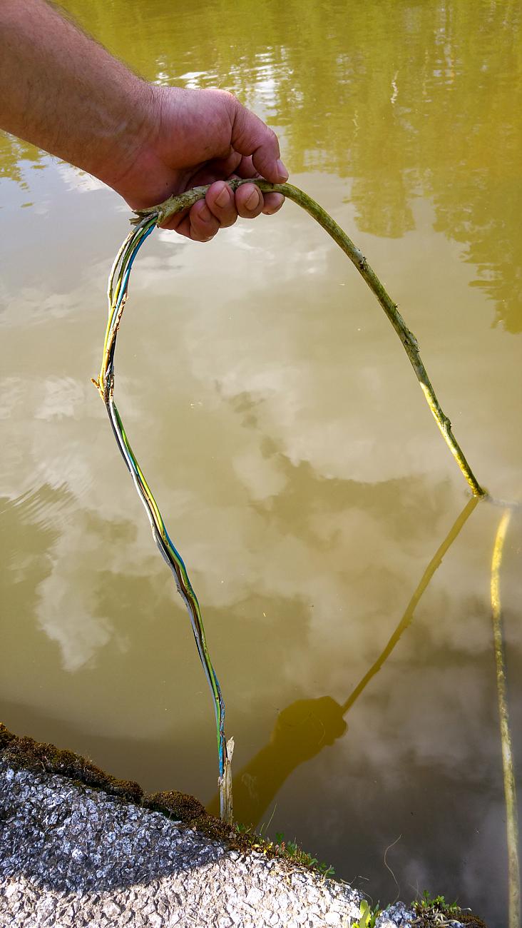 Foto: Martin Zehrer - Normales Installations-Kabel 5x1,5<br />
<br />
Abgezaust bis aufs blanke Kupfer, vermutlich durch eine Wasser-Ratte oder Ähnliches... 