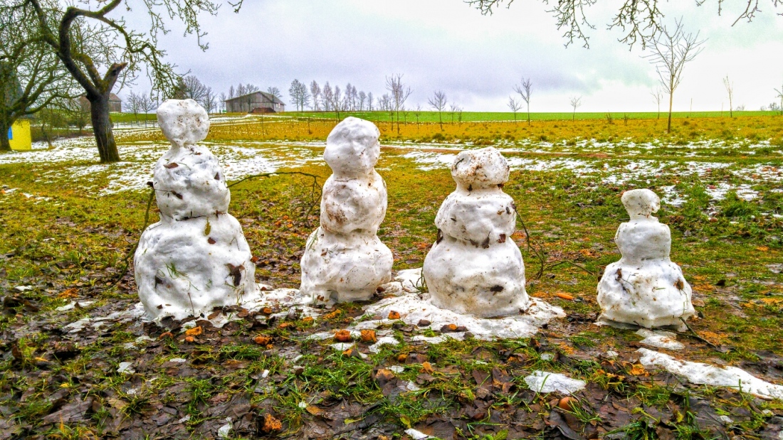 Foto: Martin Zehrer - 7. Januar 2019... Österreich wird gerade mit Schneemassen zugeschneit und bei uns in der Oberpfalz, in Neuenreuth, stehen vier Schneemänner auf einer fast grünen Wiese.<br />
 
