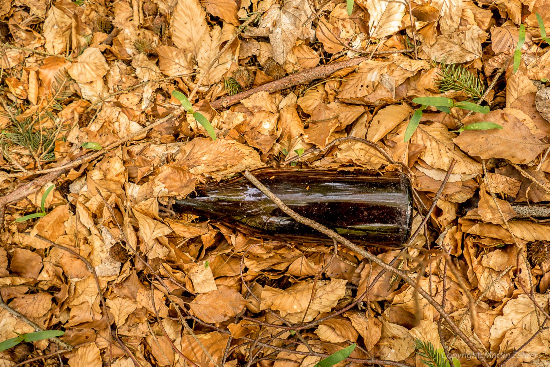 Foto: Martin Zehrer - Eine alte Bierflasche mitten im Helmes-Wald. Zu erkennen ist der markante Bügelverschluss wie er damals üblich war. Was man nicht so alles beim Wandern findet. 