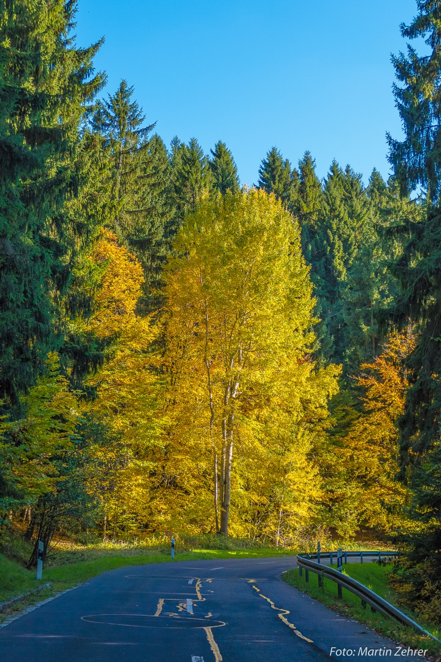 Foto: Martin Zehrer - Von Godas nach Waldeck runter treffen einen die Herbstfarben mit voller Wucht... Wie ein Goldklumpen im Granitgestein strahlt dieser Baum aus den Reihen... ;-) 