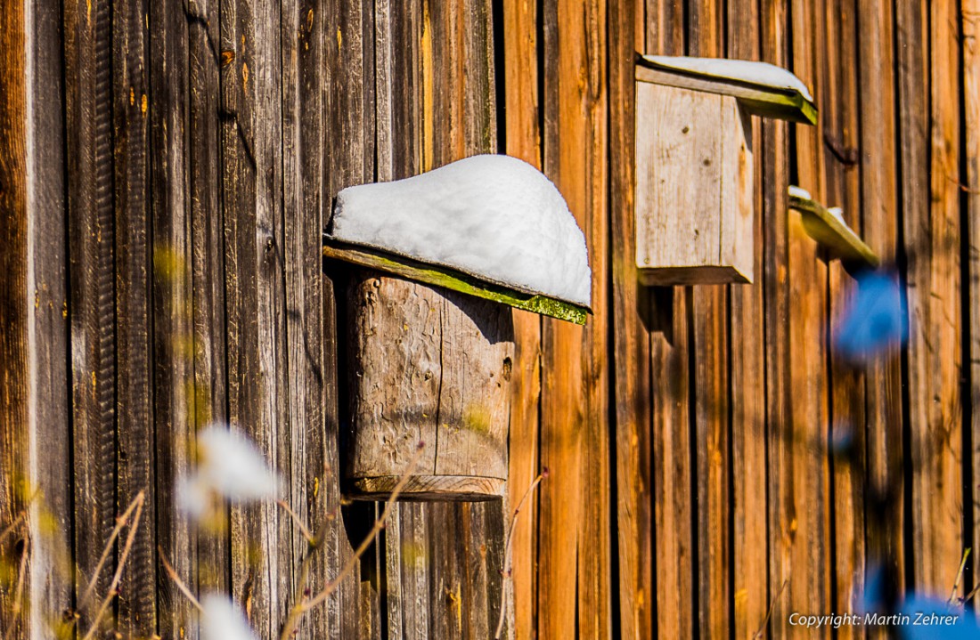 Foto: Martin Zehrer - Winter-Ruhe im Starenkobel 