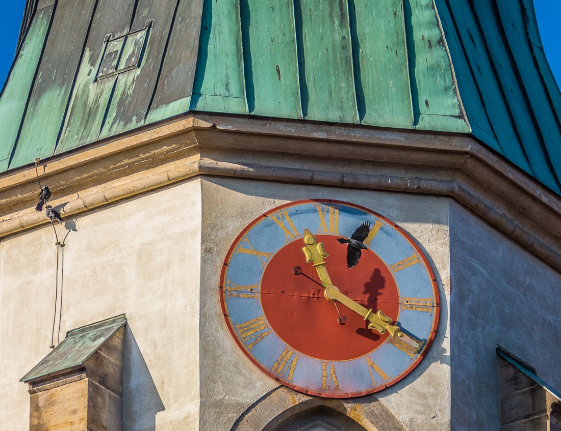 Foto: Martin Zehrer - Stellen sie die Uhrzeit? Raben-Vögel vor der Uhr des kemnather Kirchturms aus der Nähe... <br />
Die anderen sonnen sich in der seltenen Sonne... ;-) 