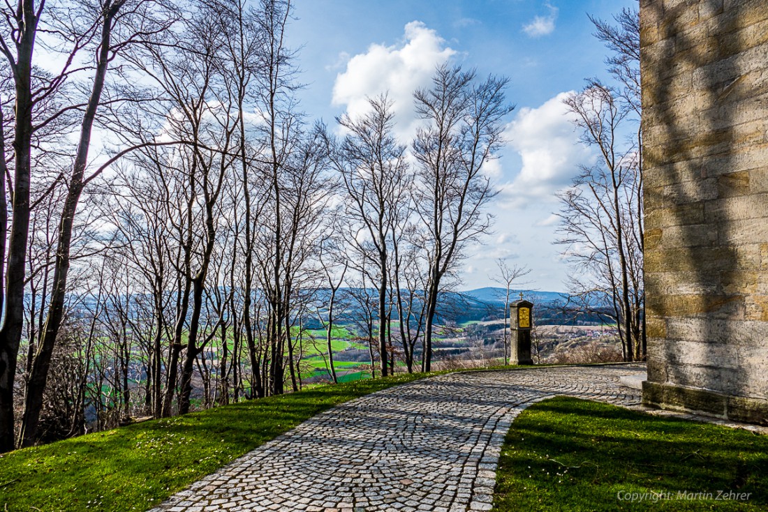 Foto: Martin Zehrer - Frühling auf dem Armesberg. Erste Hummeln fliegen durch die Gegend. Schmetterlinge lassen sich entdecken. Grüne kleine Pflanzen drücken mit aller Kraft durch das Herbstla 