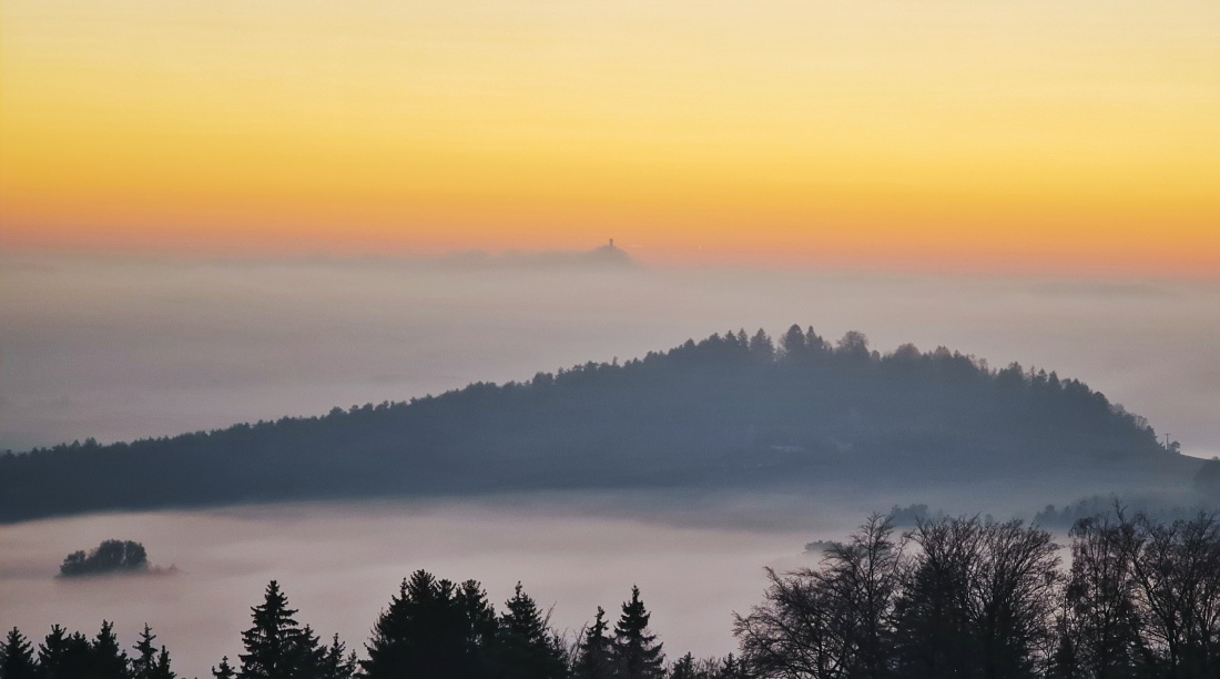 Foto: Martin Zehrer - Unglaubliches Naturschauspiel... Droben in Godas gabs heut Frost an den Bäumen und blauen Himmel und unten im Tal lag dichter Nebel überm Kemnather Land. Der Rauhe Kulm s 